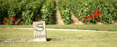 salon Champán Salón: un Blanc de Blancs