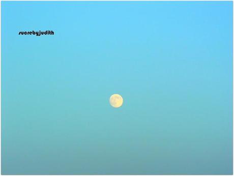 DENNY ROSE LOOK DENNY ROSE LOOK