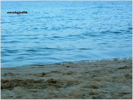 DENNY ROSE LOOK DENNY ROSE LOOK