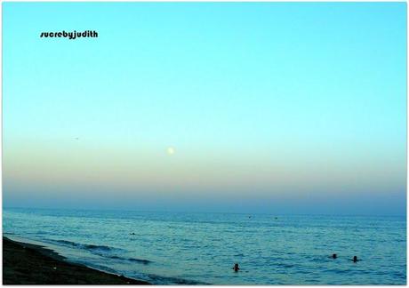 DENNY ROSE LOOK DENNY ROSE LOOK