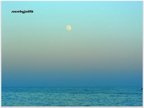 DENNY ROSE LOOK DENNY ROSE LOOK