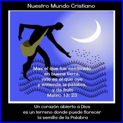 Echar raíces Paperblog