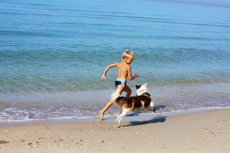 En Malaga, playa para perros