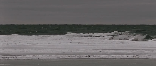 POESÍA: CÓMO NACEN LOS MARES SALADOS