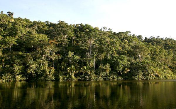 El Amazonas, el cambio climático y el CO2 que va de la selva al mar
