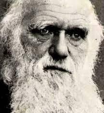 Darwin, la evolución y la taxonomía