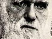 Darwin, evolución taxonomía