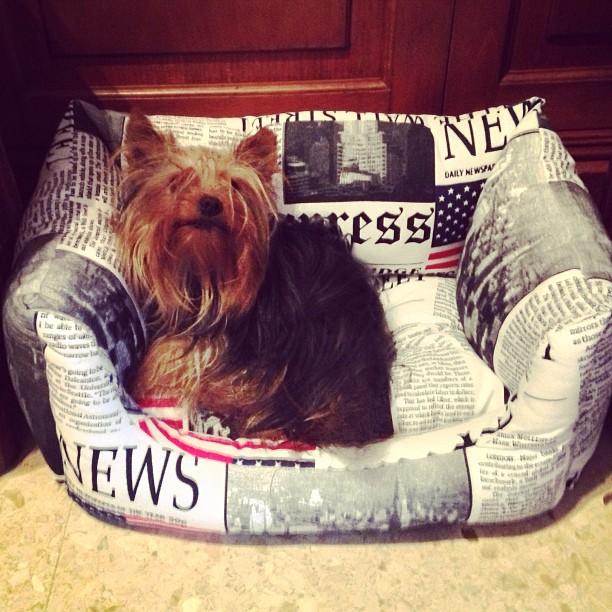 Recap Of The Week XLVIII