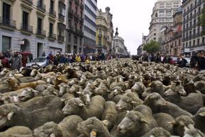 #declaracion de renta