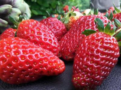 PECTINA CASERA - MERMELADAS, CONFITURAS Y JALEAS