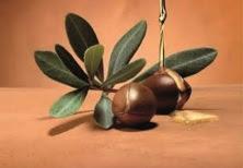 Conociendo la cosmética natural de SANS SOUCIS NATURKOSMETIK