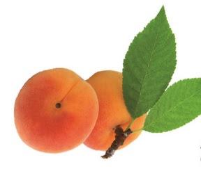 Conociendo la cosmética natural de SANS SOUCIS NATURKOSMETIK