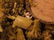 Bechamel lactosa