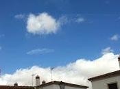 Historia voluntades...