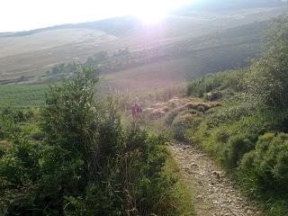Camino de Santiago - Día 2