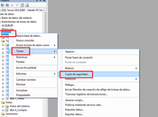 Hacer Copia Seguridad Server 2008
