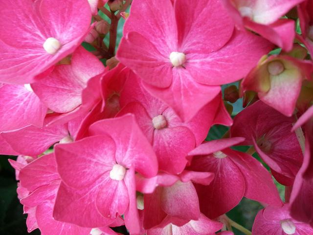 Androidografia Barakaldo 1432