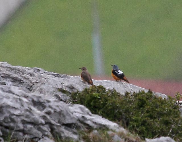 UNAS OBSERVACIONES DEL ULTIMO MES