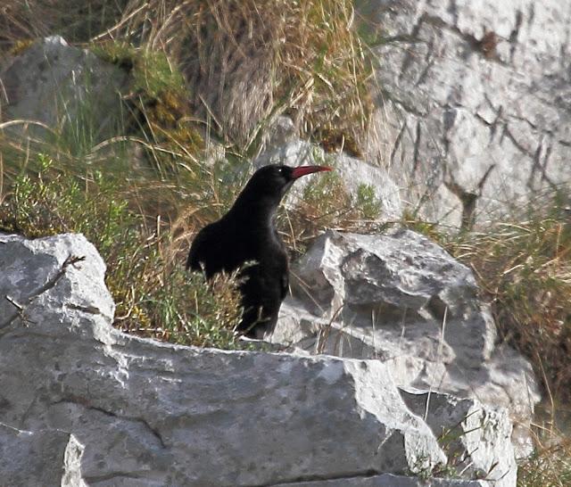 UNAS OBSERVACIONES DEL ULTIMO MES