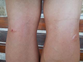 Camino de Santiago - Día 3