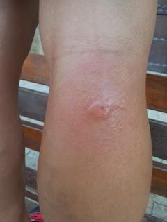 Camino de Santiago - Día 3