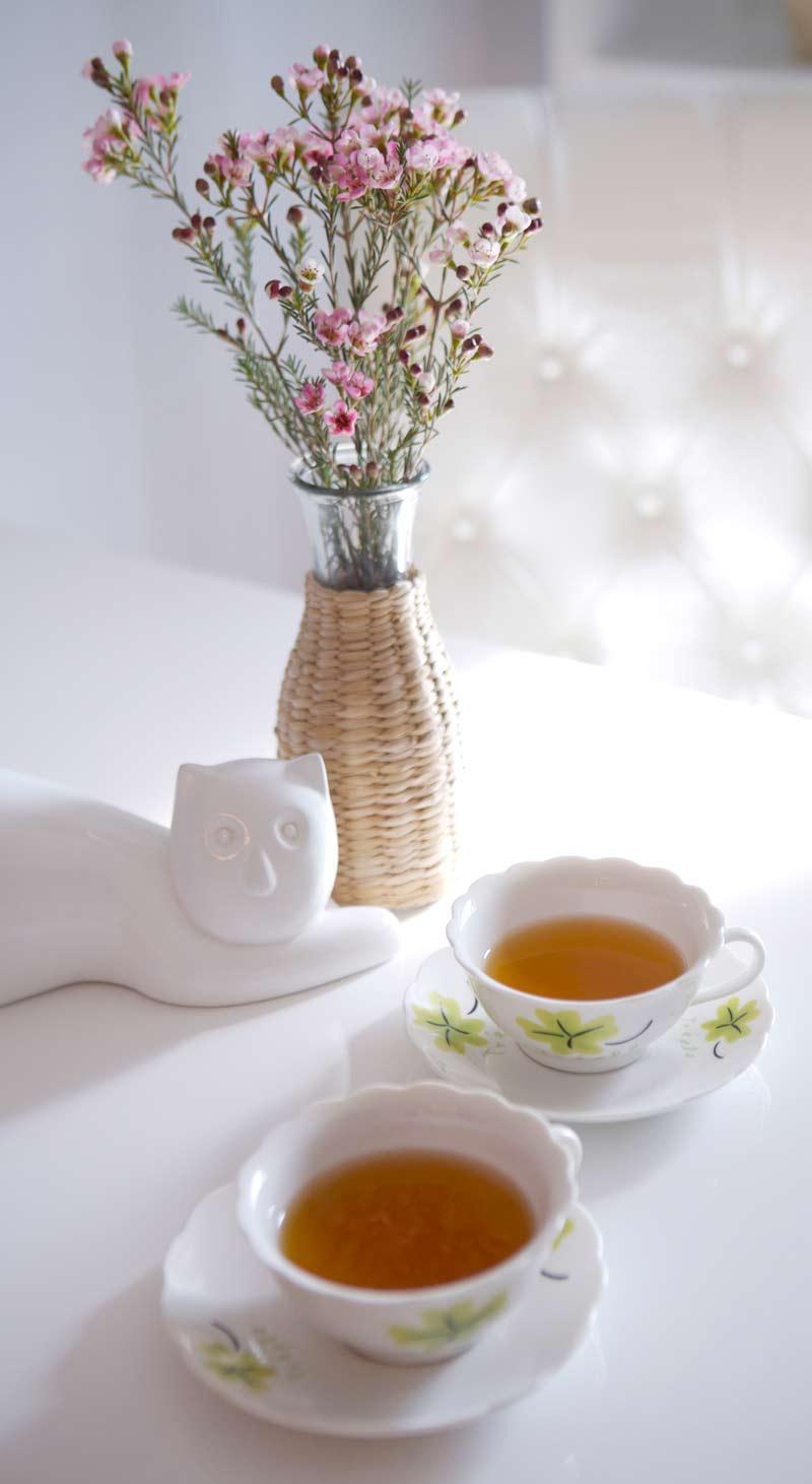 ACELERA TU METABOLISMO