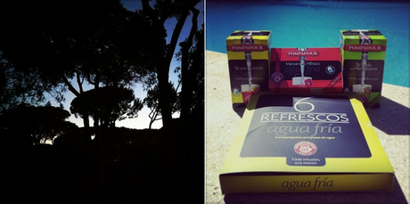 instagossip instagram