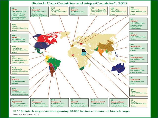 Transgénicos, modelos sociales y soberanía alimentaria.