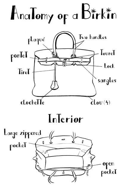 birkin anatomia bolso