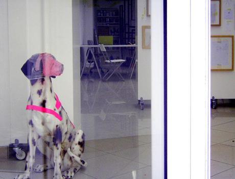 werner thöni artspace