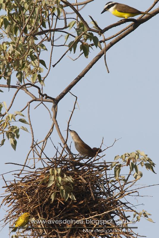Un trabajador y un holgazán
