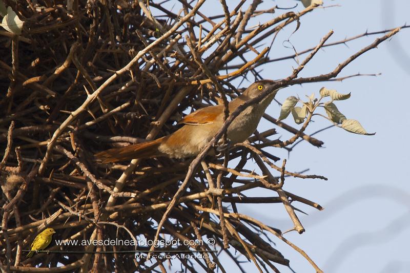 Un trabajador y un holgazán