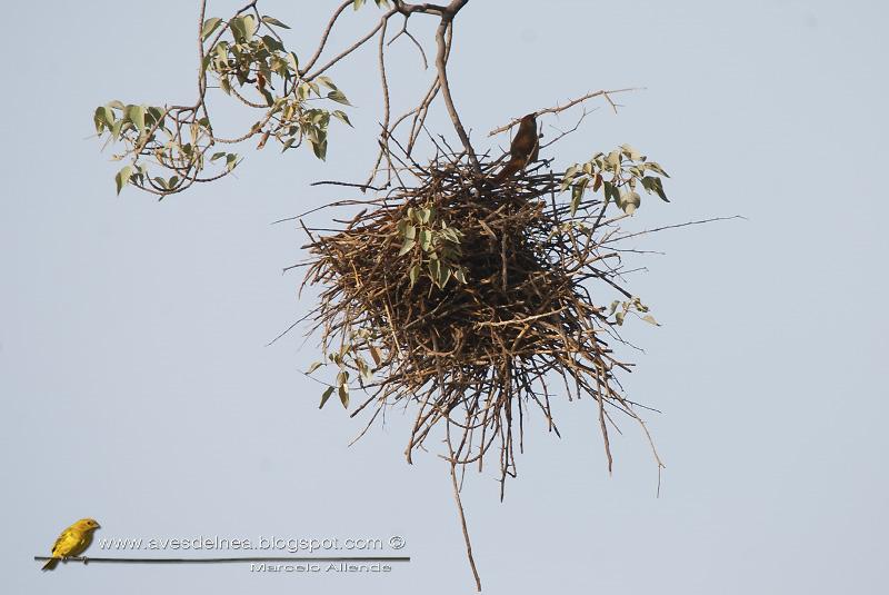 Un trabajador y un holgazán