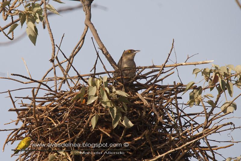 Un trabajador y un holgazán