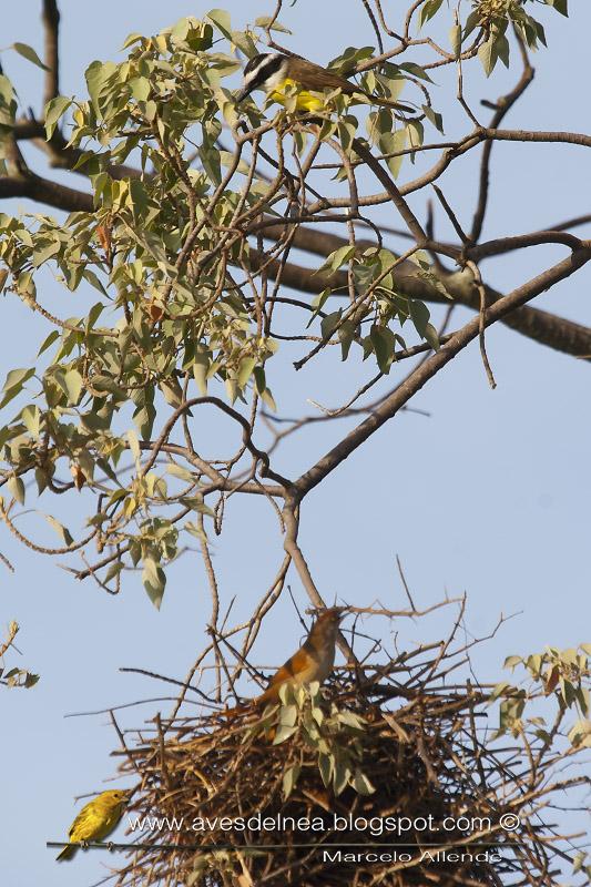 Un trabajador y un holgazán