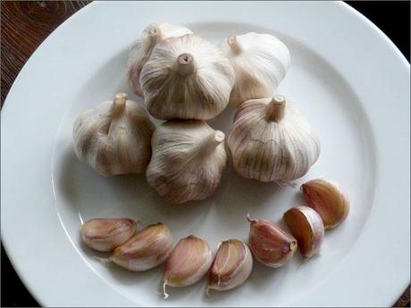 propiedades-del-ajo