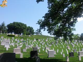 Día 13 (I): Cementerio de Arlington - Virginia