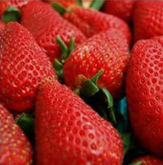 CÓMO SEMBRAR SEMILLAS DE FRESAS