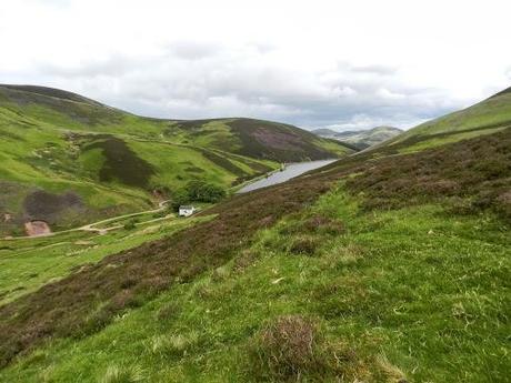 Pentland Hills en verano Pentland Hills en verano