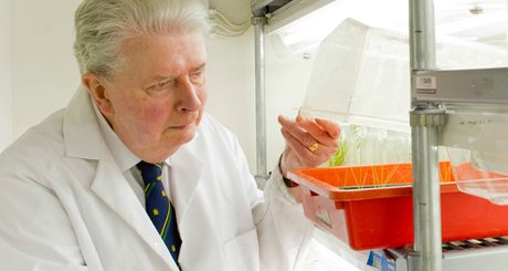 ¿Agricultura sin fertilizantes nitrogenados? La Segunda Revolución Verde ha comenzado