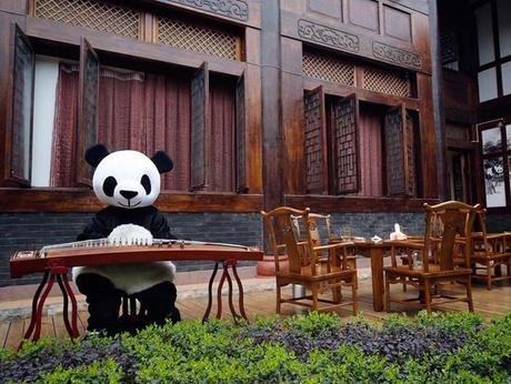 We live in a Panda World Panda_hotel