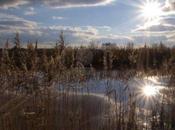 Lecciones Vida: Vida Charco