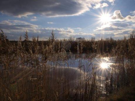 Lecciones que nos da la Vida: La Vida es un Charco al Sol