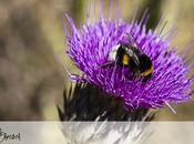 Capítulo Conceptos básicos Parte