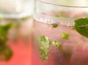 cócteles para fiestas verano