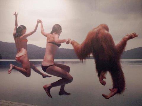 EL SALTO O CÓMO DETERMINAR EL MAL DE ALTURA