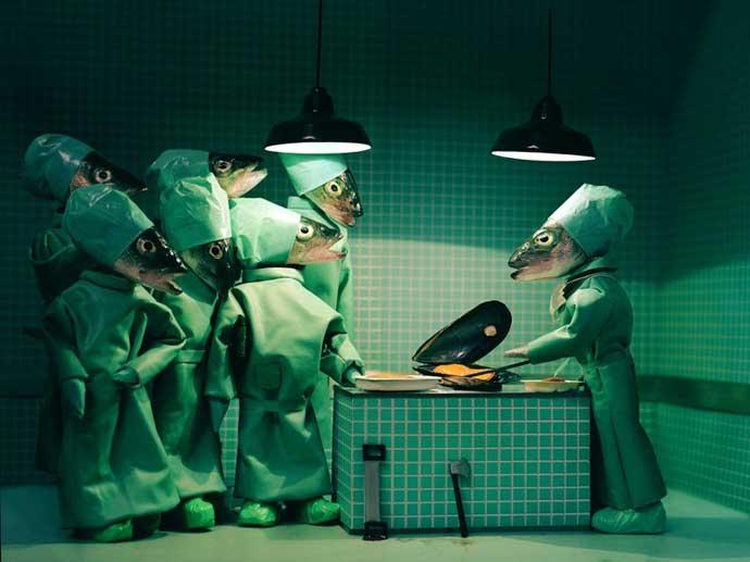 quirofano y cirujanos hechos con peces