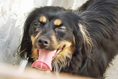 MAIRENA, Si no salen pronto, no aguantarán mucho más....