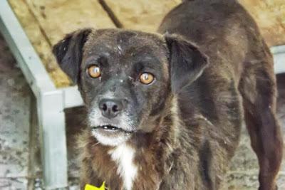 MAIRENA, Si no salen pronto, no aguantarán mucho más....