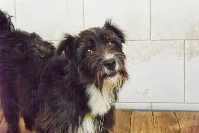 MAIRENA, Si no salen pronto, no aguantarán mucho más....